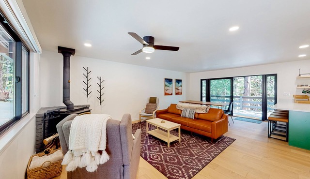 Dog-friendly remodeled home with forest views, wood stove, deck, washer/dryer