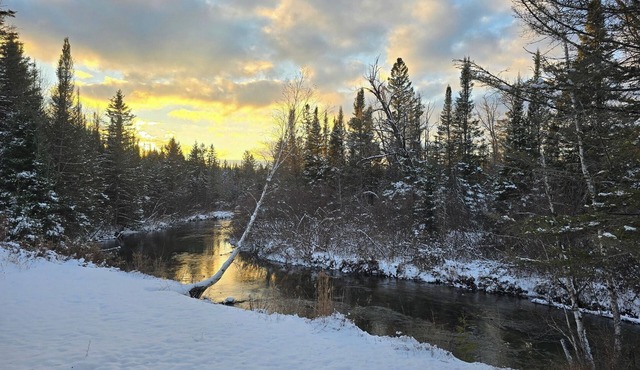 Dog Friendly | River | Kayaks | Fishing