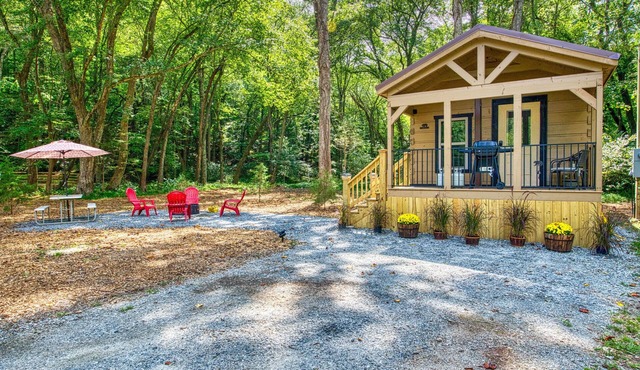 Dog-friendly riverfront cabin with mtn & river views, firepit, grill, patio, W/D