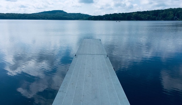 Dog friendly room & fun for the all the friends & family