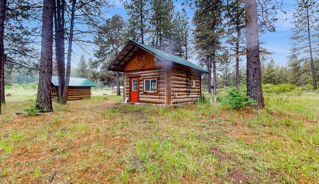 Dog-friendly secluded cabin with outdoor dining, grill, hammock, games, & W/D