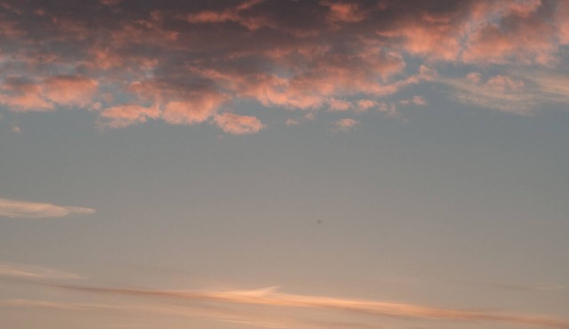 Dog Friendly Shepherd's Hut, Perfect for Couples