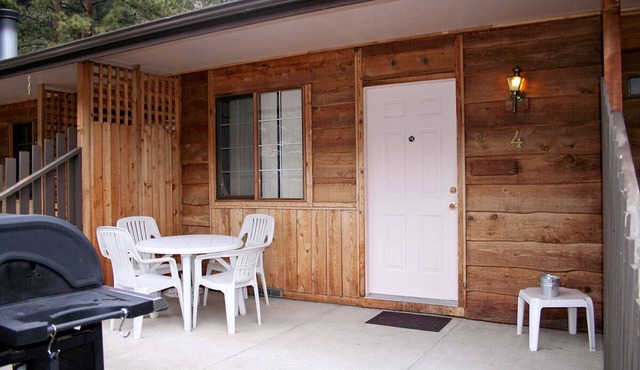 Dog friendly Suite with Queen bed and kitchen
