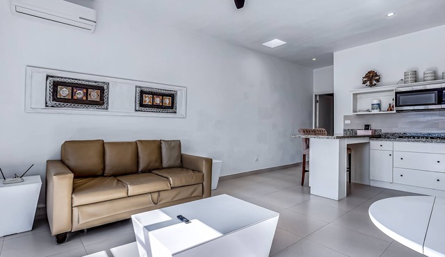 Dog-friendly suite with kitchenette, heated outdoor pool, hot tub, terrace, AC