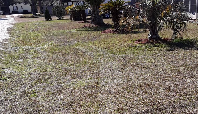 Dog friendly vacation rental near St. Johns River