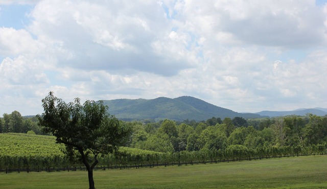 Dog Friendly Vacation House/Cabin at a Winery & Vineyard !