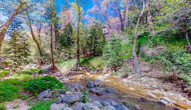 Dog-friendly water-view home near Lake Gregory with game room, fireplace, grill
