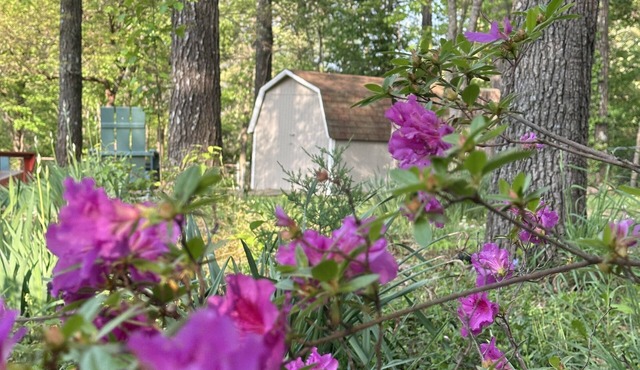 Dog Friendly with Trail Access to Bike Trails, Lakes, Waterfalls, MTB & Golf
