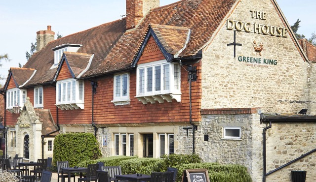 Dog House by Chef and Brewer Collection