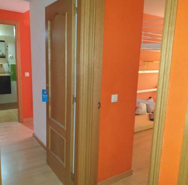 DOGGY House&hosting DOGS&FAMILY