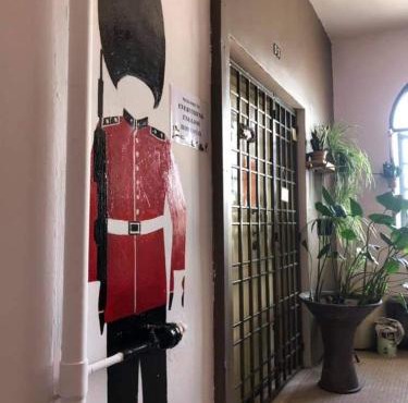 Dogs and Cats Friendly Everything English Home