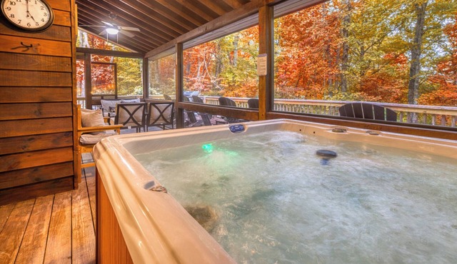 Dogs stay free/Private/15mins Blue Ridge