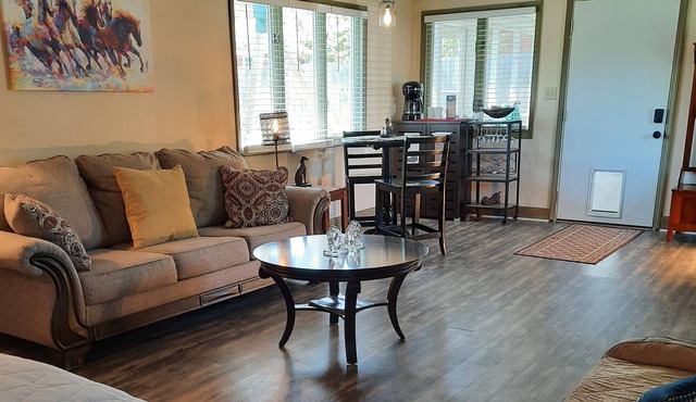 Dogs Welcome - Fenced Yard - Queen Studio - Horse Country - KY Bourbon Trail