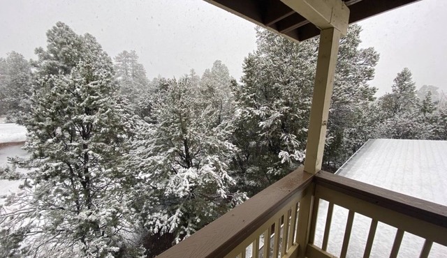 Dogs welcome - Gorgeous, Spacious Cabin in the Pines