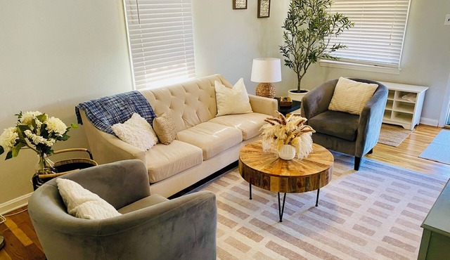 Dogtown St Louis Family & Pet Favorite! Forest Park, BJC, Arch, SLU, WashU, Yard