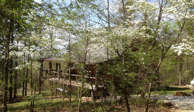 Dogwood Cabin, Deer Lodge Cabin Rentals is a Secluded Ozark Mountain Log Cabin