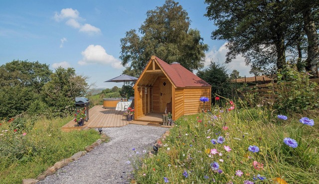 Dol y Mynydd (The Mountain Meadow)-QU7521