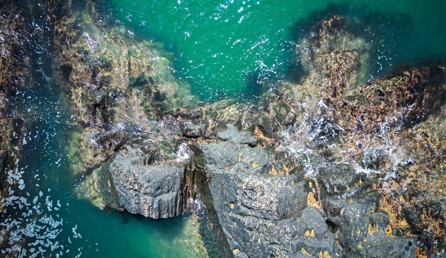 Dolfor - Four Bedroom House, Sleeps 8