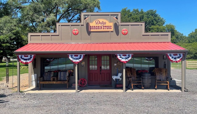 Dolly's Bargain Store