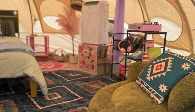 Dolly’s Disco Yurt, fluffy, sheep, llamas, and shaggy cows