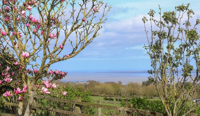 DOLPHIN BACH, pet friendly, character holiday cottage in Dolphin