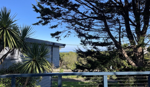 Dolphin Cottage - Dog Friendly* Free WIFI Ocean Views. 5 min walk to beach!