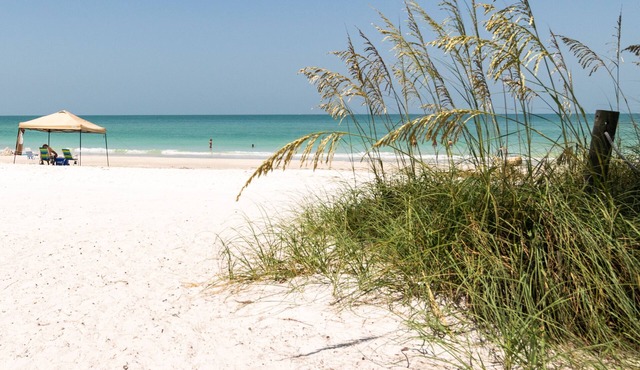 Dolphin Dance South Directly Across From Beach With Panoramic Beach Views