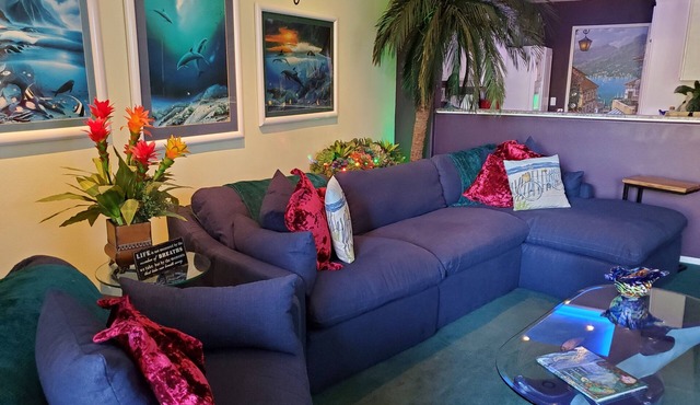 Dolphin Dynasty. Beautifully Decorated, Quiet, Wi-Fi, Pool and Tandum Bike