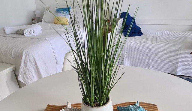 Dolphin Heads | Resort Unit | ABSOLUTE BEACHFRONT! Whitsunday Getaway!