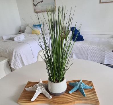 Dolphin Heads - Resort Unit - Absolute Beachfront! - Whitsunday Getaway!