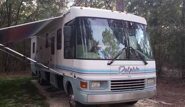 Dolphin RV Getaway