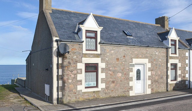 Dolphin View - UK30689