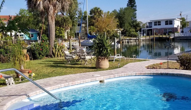Dolphins and Manatees in Your Backyard!