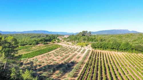 Domaine de Conillières