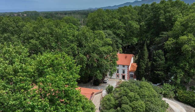 Domaine Castell de Blés - Gîte "Les Albères"