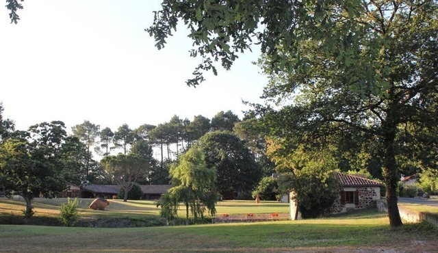 Domain 26 people, heated swimming pool, jacuzzi and sauna.