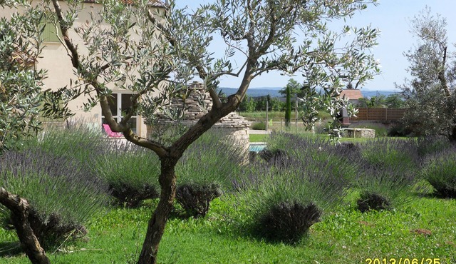 Domain of Bouteille en Luberon