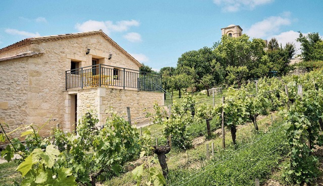 Domaine Baudon, situé au cœur des vignes