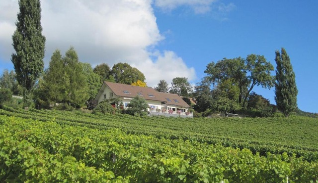 Domaine Beauregard