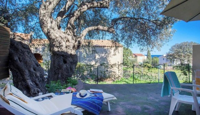 Domaine Bollaccia - Casa Caruchettu