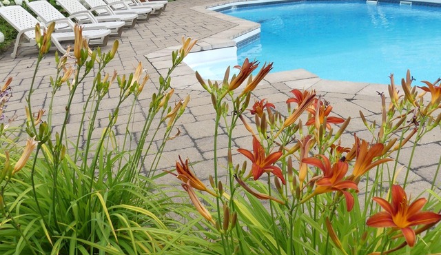 DOMAINE BONHEURA; A HAVEN OF PEACE SURROUNDED BY NATURE IN ABUNDANCE!