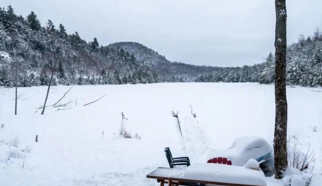 Domaine La Cedriere.