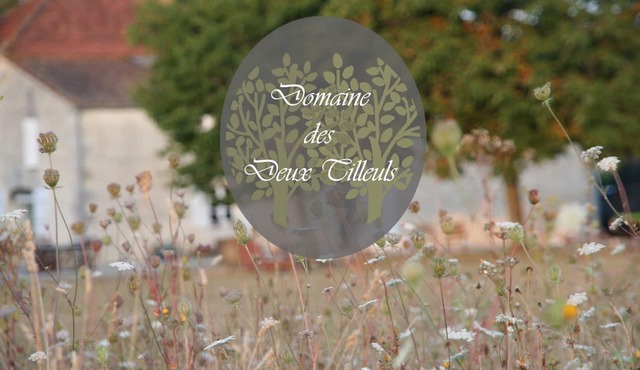 Domaine des Deux Tilleuls - Gîte Écologique "La Cabane du Verger"