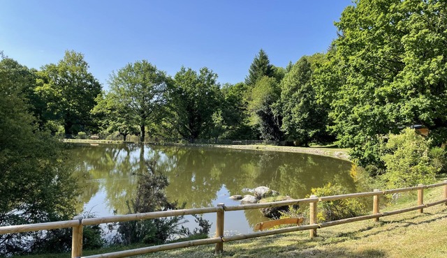 Domaine de 6 Hectares Avec 2 Étangs Rien que Pour Vous