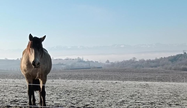 Domaine de buffevent