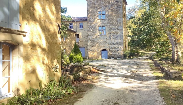 Domaine de Castillou