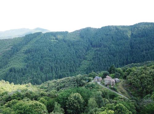 Domaine de la Mazière