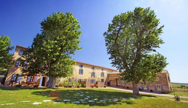 Domaine de Garille - Les Platanes