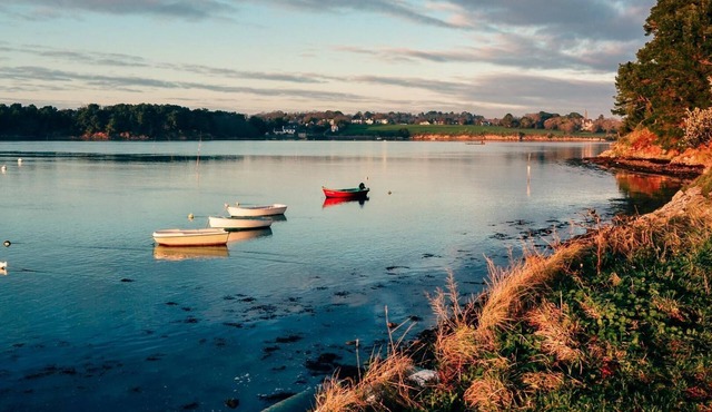 Domaine de Kervet - Plescop