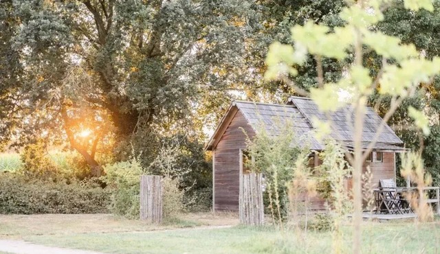 Domaine de l'Oiselière * - Cottage Original 2 Rooms 2 People